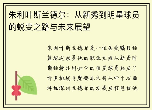 朱利叶斯兰德尔：从新秀到明星球员的蜕变之路与未来展望
